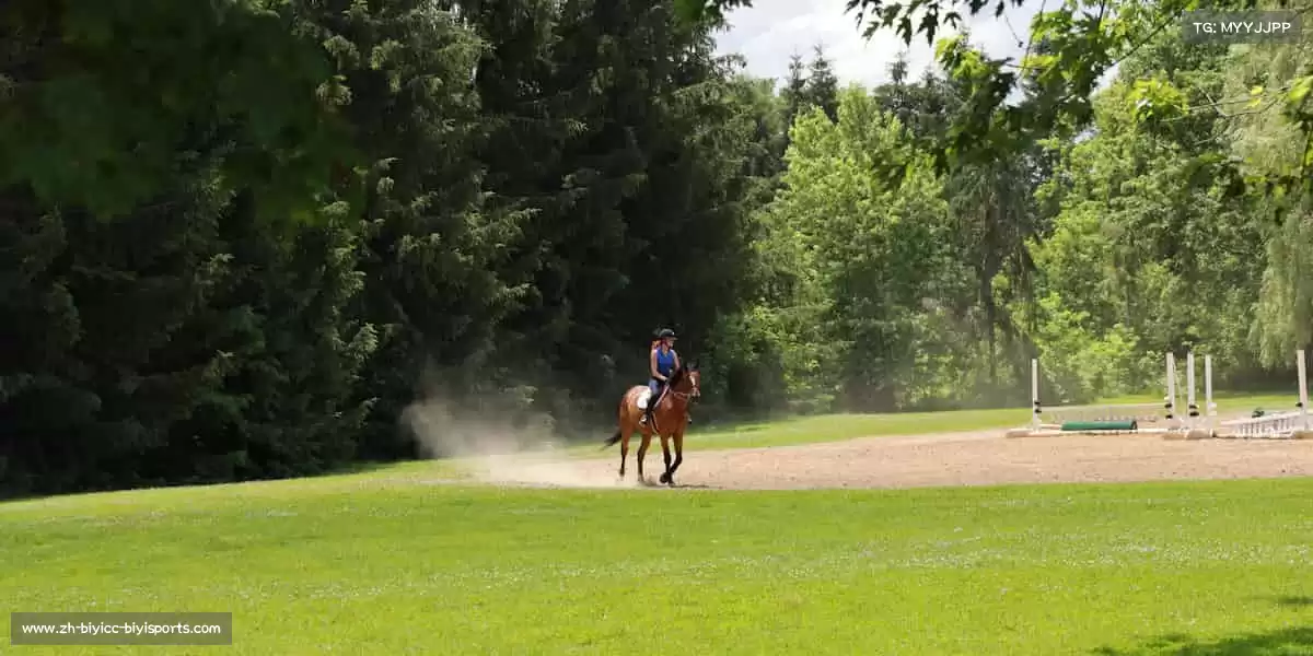 B体育——运动点燃热血，激情永不停歇！⚽🔥